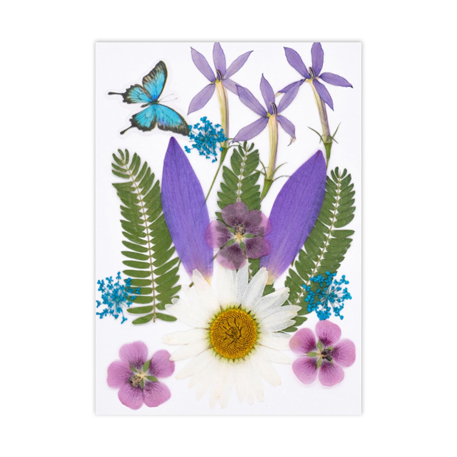 PANGBOER Dried Pressed Flower Art Craft Embellishment Supply for Resin Mold Bookmarks Jewelry Making Scrapbooking Dried Flower Florets