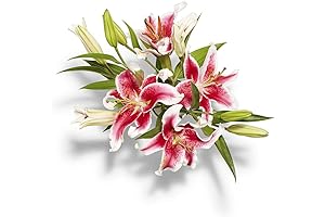 Whole Foods Market Delivery: Fresh Flowers and the Scent of Nature