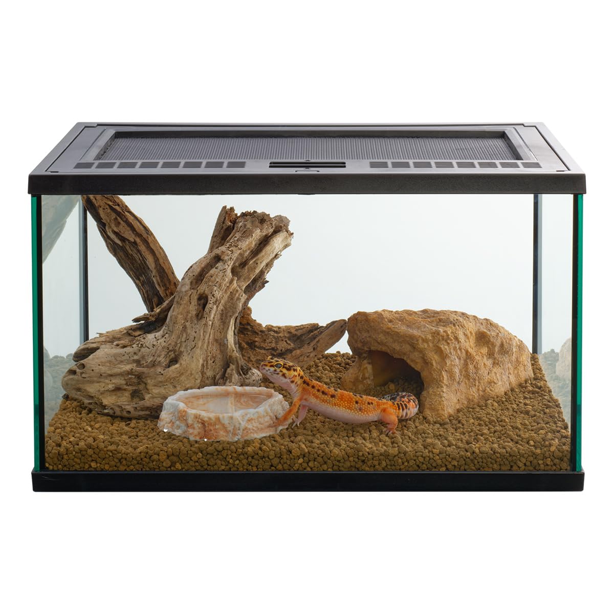 Amazon | スドー レオパ はじめて お迎え 飼育 セット キット 5点