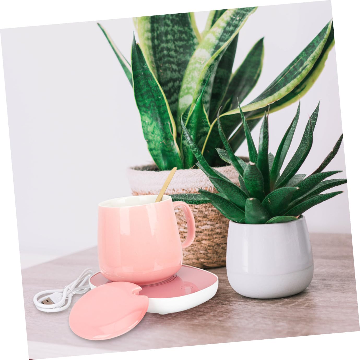 Scalda Tazze Elettrico in Ceramica Termostato per Caffè Tè Acqua Calda Tazza Termica USB da Scrivania Leggera e Resistente