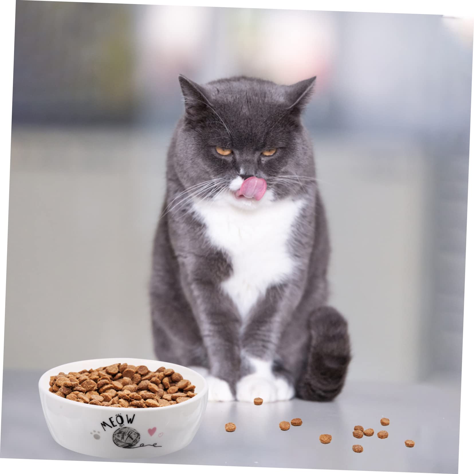 Comedero para Gatos de Cerámica con Diseño Adorable Cuenco Antideslizante para Alimentación y Agua Fácil de Limpiar para Gatitos y Mascotas Pequeñas