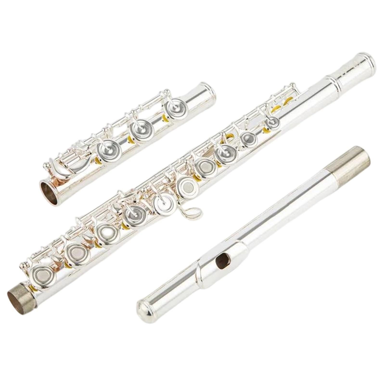 CF 601 Profesional Cuproníquel Apertura C Llave 17 Agujeros Flauta Plateada Con Estuche