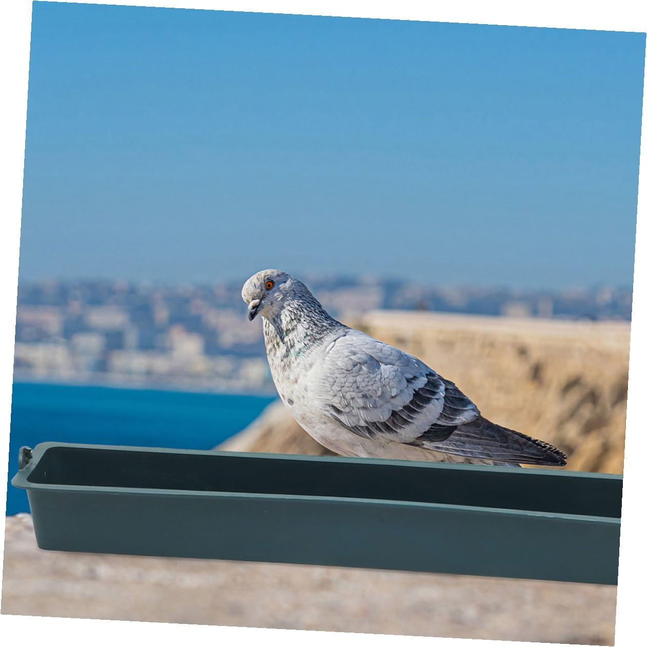 Lurrose 2pcs Plastic Bird Feeder Basket with 3 Compartments Hanging Cage Chicken Food Dispenser Anti-Spill Trough for Parakeet, Pigeon, Duck Feeding in Poultry Cages