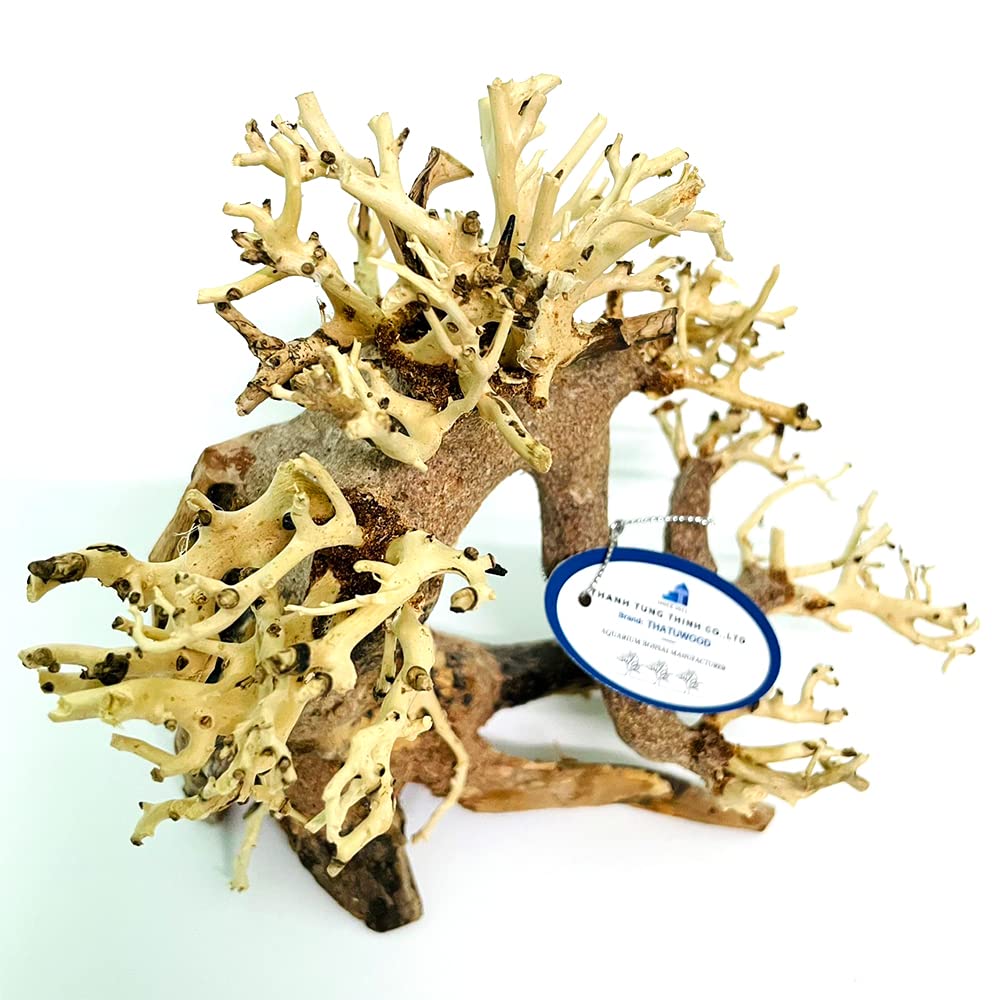 Bonsai per acquario, decorazione in legno artificiale fatto a mano, bonsai acquatico per la casa (Bonsai)