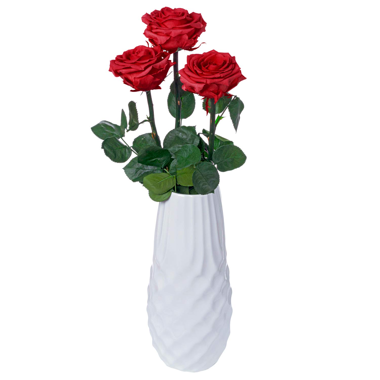 Be Shapy Real Long Lasting Roses That Last a Year Fresh Cut Preserved Natural Flowers Flores Naturales Rosas Frescas Preservadas para Regalo 3pcs Red