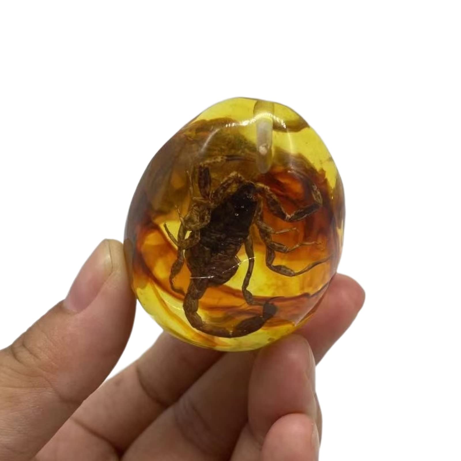 Ambra fossile con insetti campioni di pietre campioni di cristallo Specimen insetto ciondolo ambra gioielli fai da te