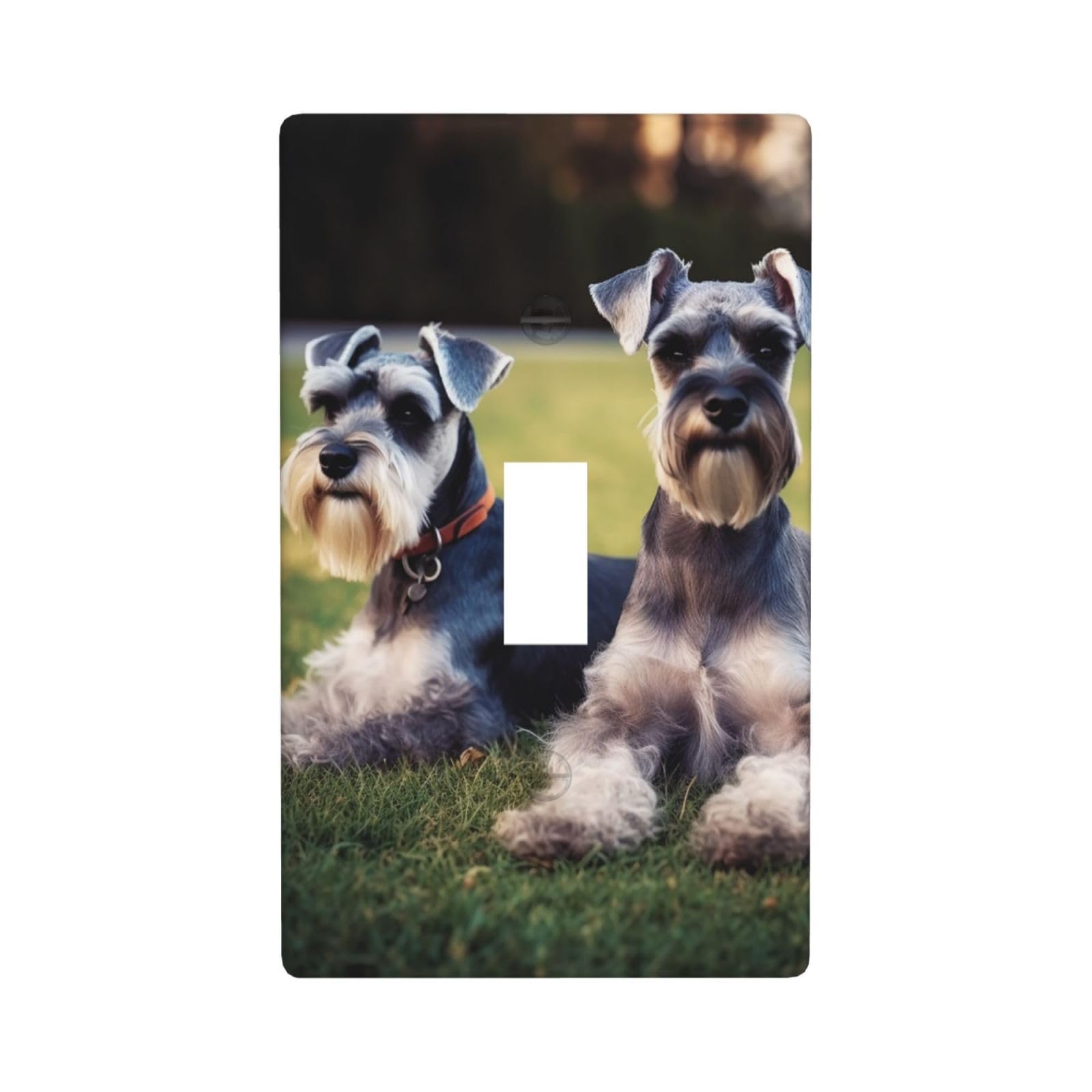 1-Gang Decorator Wall Plate Adult Schnauzer Dogs Light Switch Cover Single Toggle Receptacle Outlet Wall Plate 4.5" x 2.8" Wallplate Unbreakable Polycarbonate Outlet Faceplates Covers