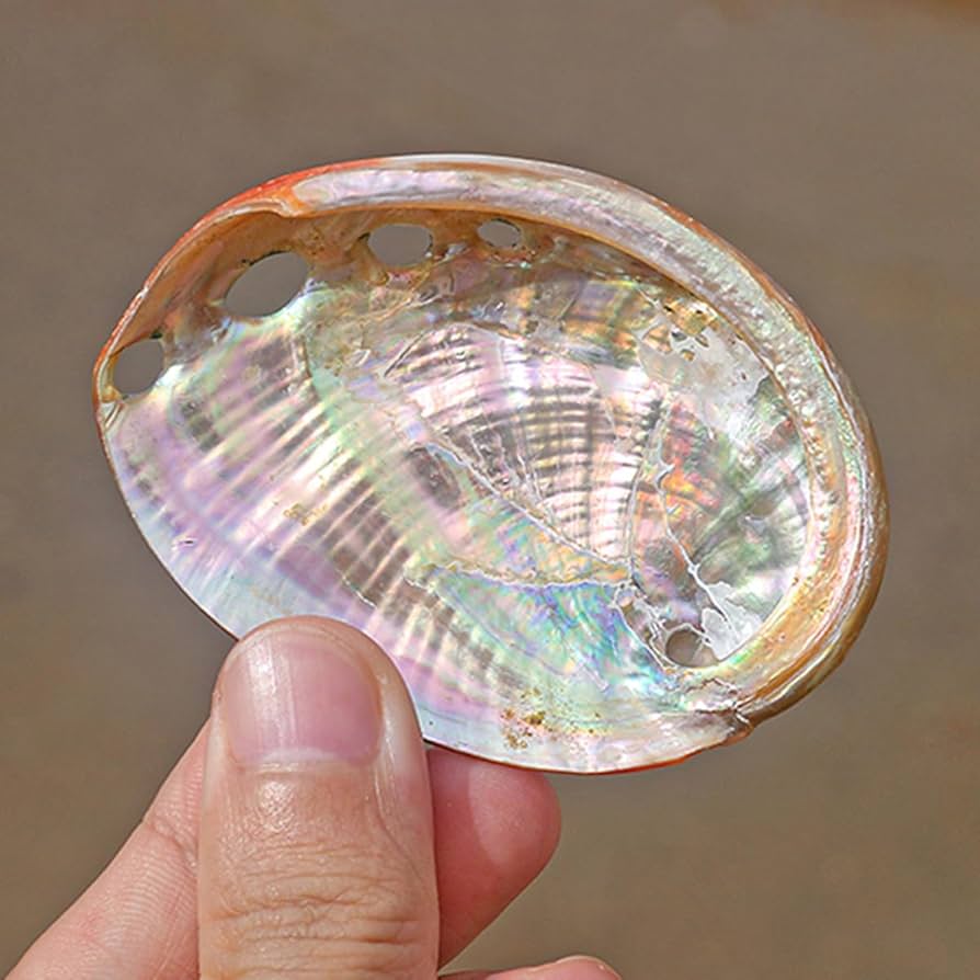 61Ioy59HK7L._AC_UF894, 61Ioy59HK7L._AC_UF894,