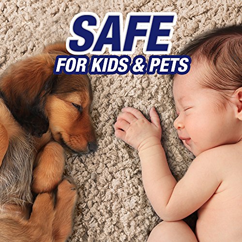 Resolve Urine Destroyer Spray Stain & Odor Remover, Transparent, No