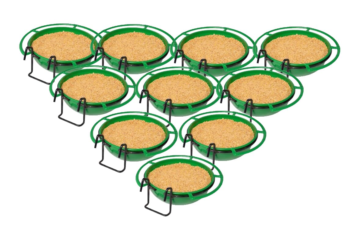 Amijivdaya Bird Feeder Bowl - Food & Water -1