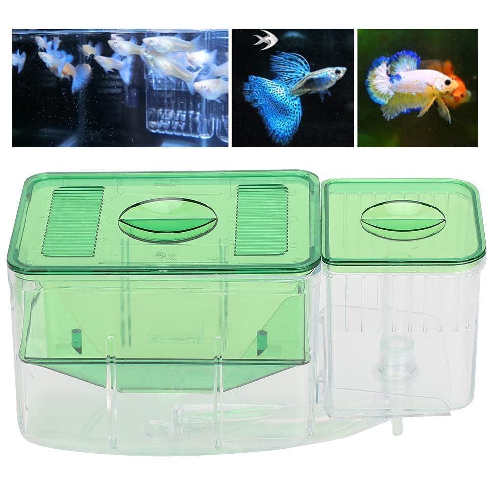 Aquarium Fish Tanks Zuchtbox Fischzuchtbox Isolationsbox Doppelschicht Braten Brut Brut Inkubator Aufzucht Box Isolation Inkubator