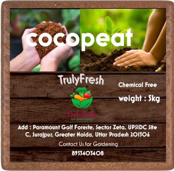 See full amazon price history chart for Truly Fresh Cocopeat 100% Chemical-Free Natural 5Kg Block for Plants, Expandable Upto 20 Kg Truly Fresh Cocopeat 100% Chemical-Free Natural 5Kg Block for Plants, Expandable Upto 20 Kg (B0BX9PJJ6S) Amazon Price History, Amazon Price Tracker