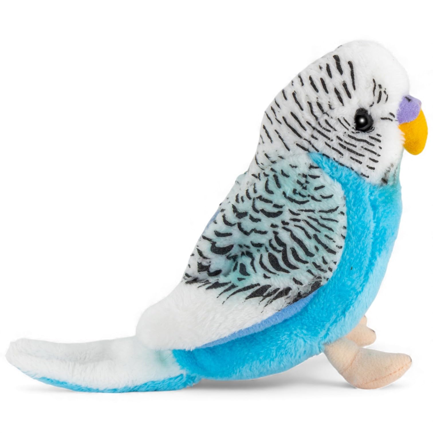 Amazon.co.jp: Carl Dick セキセイインコダークブルー、5インチ、13cm