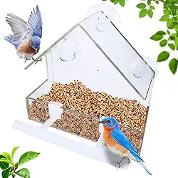 Alimentador de pássaros para janela, casa de pássaros externa com 2 varas, alimentador de pássaros de janela de acrílico com ventosas fortes e orifícios de drenagem