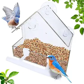 Alimentador de pássaros para janela, casa de pássaros externa com 2 varas, alimentador de pássaros de janela de acrílico com ventosas fortes e orifícios de drenagem