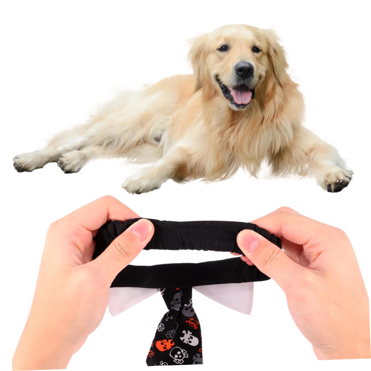 FOMIYES 3 Pezzi Di Halloween Cane Con Teschi Comode Cravatte in Cotone Per Animali Domestici Per Occasioni Festive Taglia S
