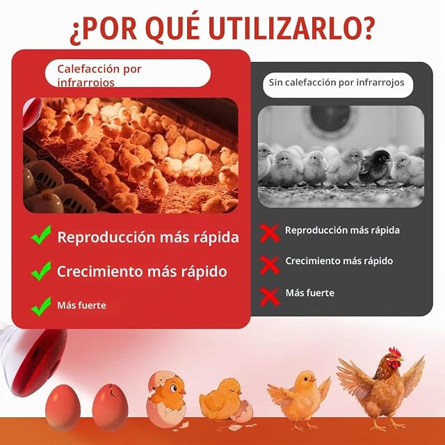 Foto 4 de 7 de Weciau Lampara Infrarrojos para Reptiles, Lámpara de Luz Roja de 250 W, para Animales Gallinas, Perros