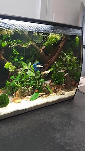 Aquarien & Zubehör günstig online kaufen