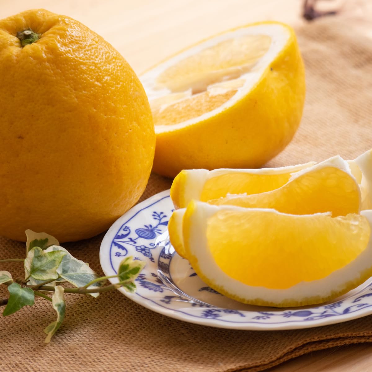 希望の島 河内晩柑 愛媛 中島産 和製グレープフルーツ みかん