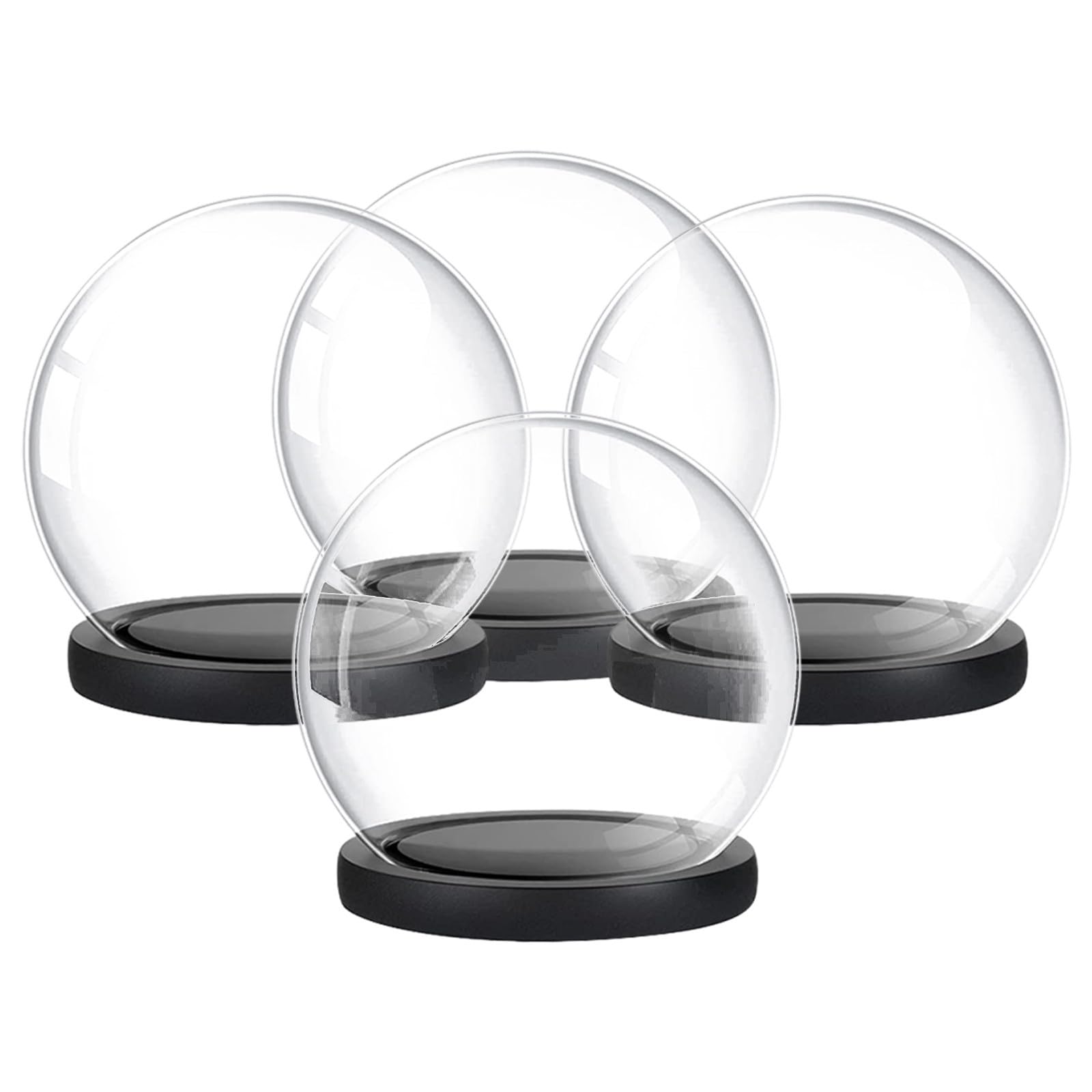 Cloche protection fleurs séchées verre transparente socle bois micro-paysages