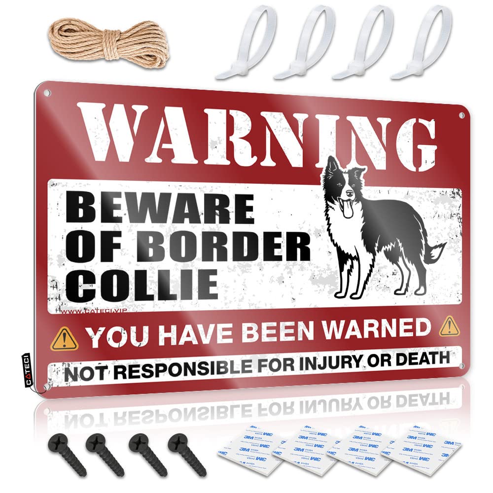 Fzfn Colour Tin Sign Guest Vintage Style | Beware Of Border Collie Classy Nice Home Decor(30X40cm)