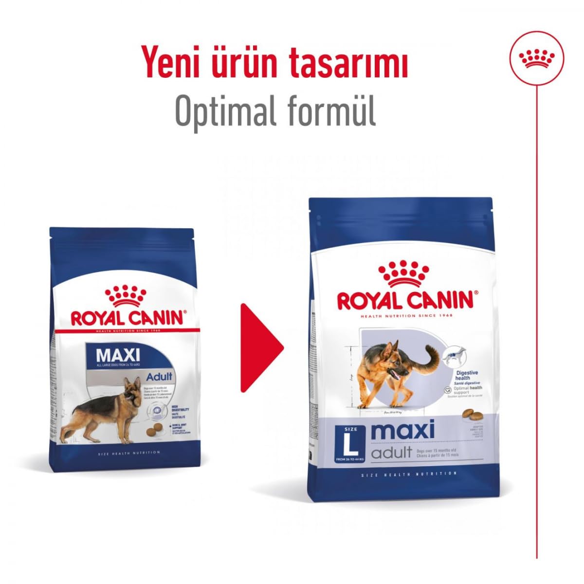 ロイヤルカナン SHN マキシ アダルト 犬用