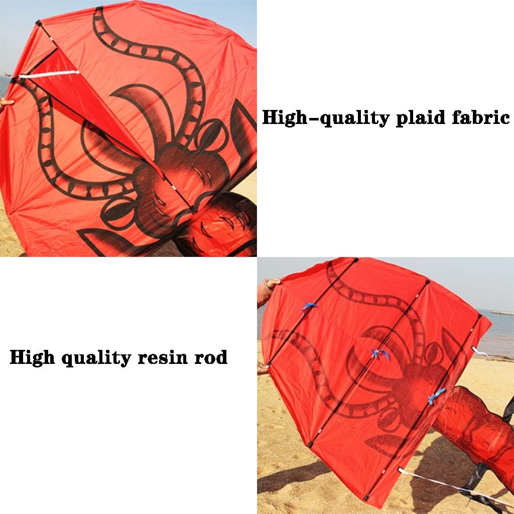 #スカイスポーツ カイト 中国　濰坊　風箏　魚凧　海外商品　风筝 kite 美品 スカイスポーツ カイト 中国 濰坊 風箏 魚凧 海外商品 风筝 kite