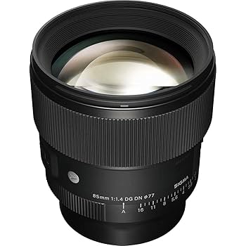 SIGMA 85mm F1.4 DG DN  eマウント 防湿庫保管 Amazon | 【セット買い】SIGMA 85mm F1.4 DGDN Art Eマウント用