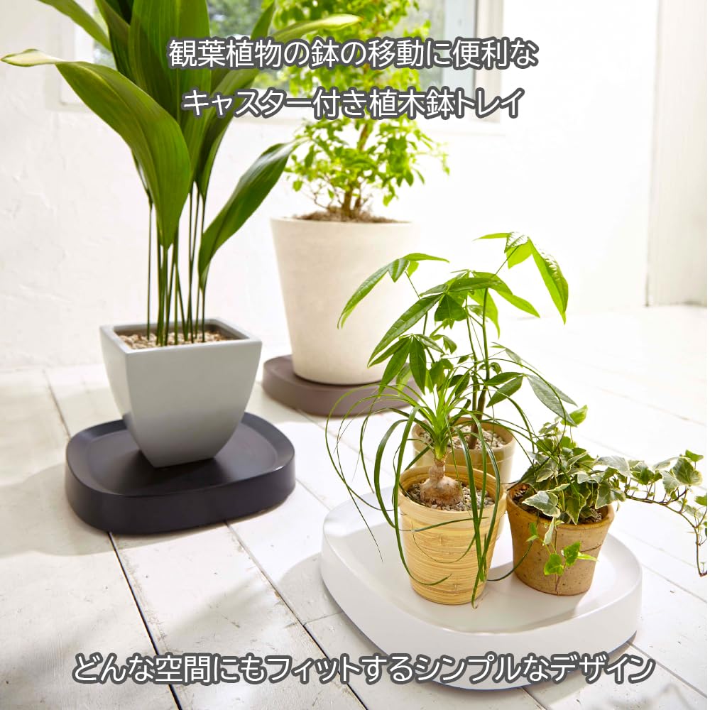 Amazon.co.jp: ティディ(Tidy) 便利なキャスター付きトレー プラン