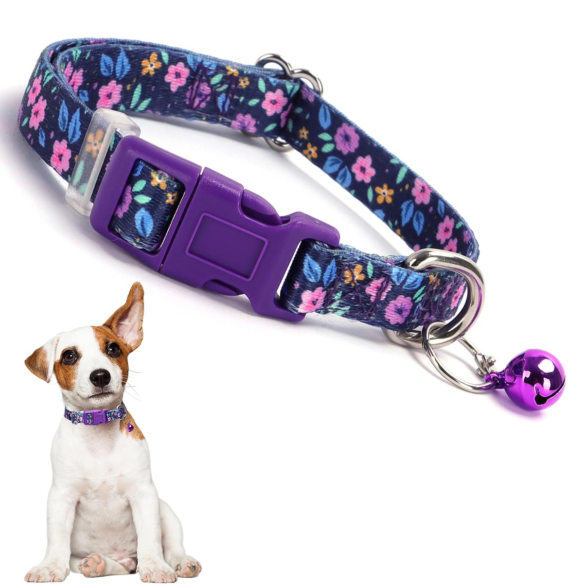 Collier violet à motif floral avec clochette pour chaton femelle XS S