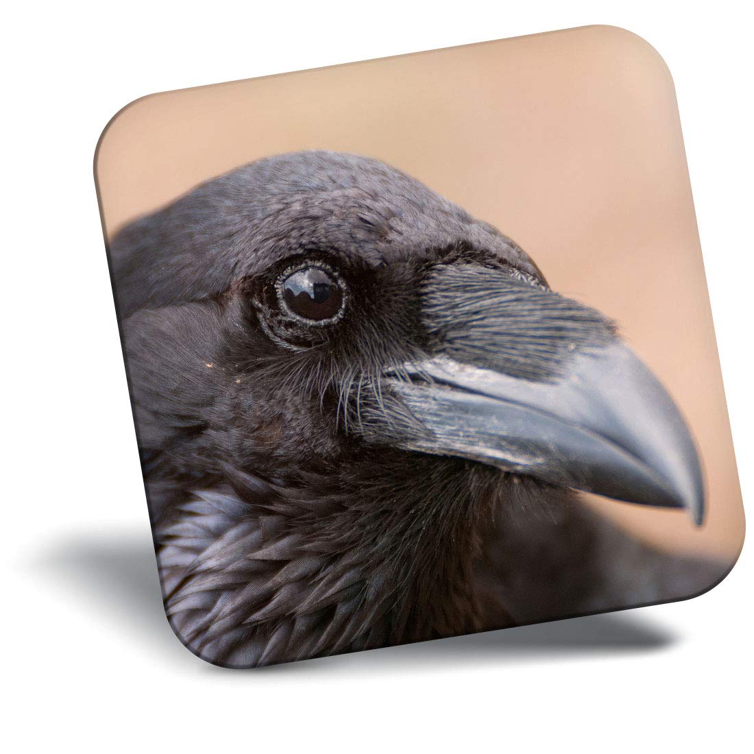Destination Vinyl Ltd Black Fridge Magnet - Raven Bird Crow Wild Horror 24090