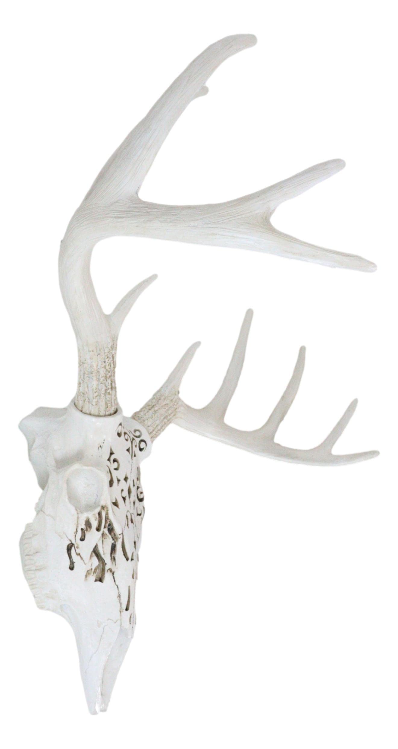 希少 Acq deer skull 壁掛け コンクリート製オマケ付き 希少 Acq deer
