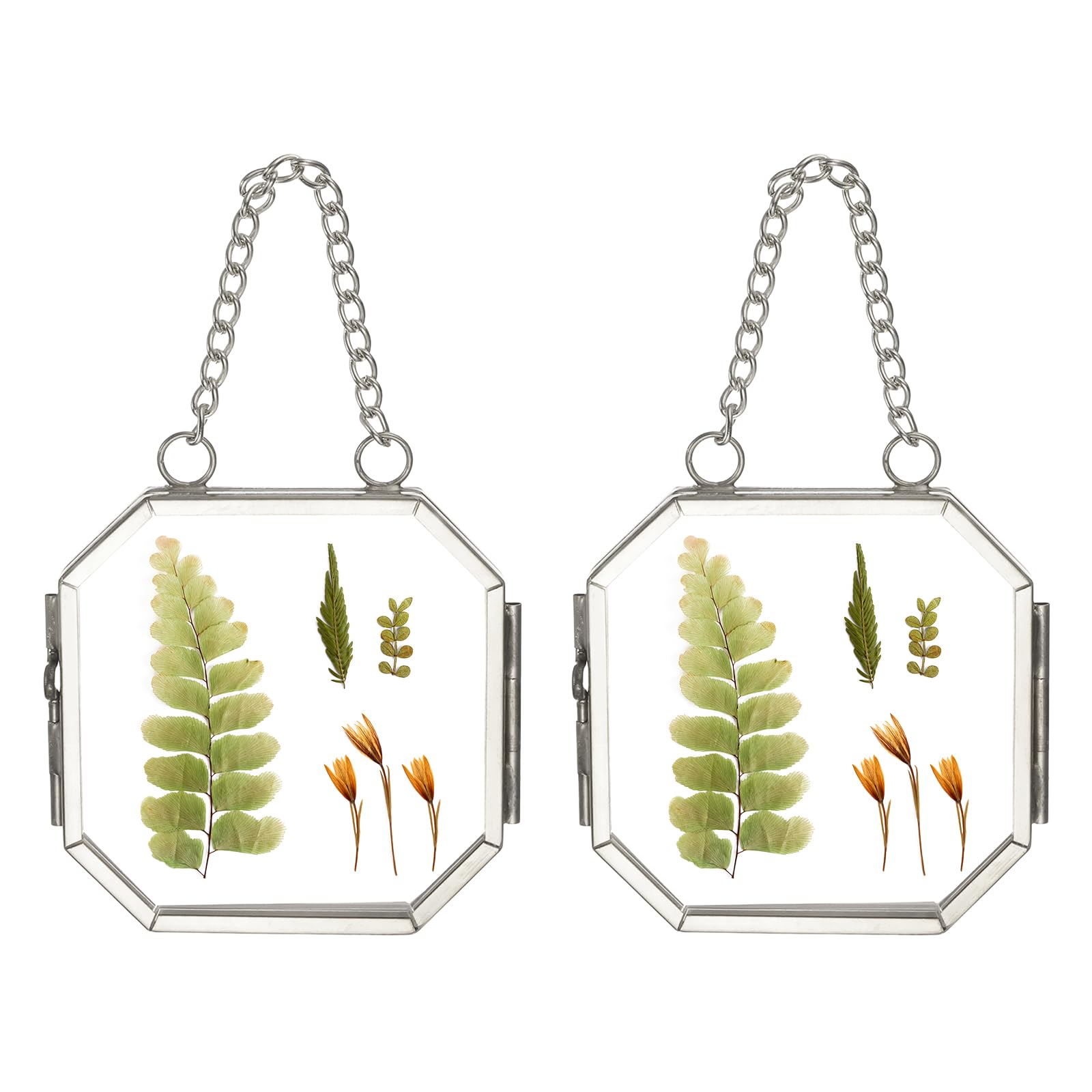 Cadre photo double en verre flottant uxcell argenté pour fleurs pressées