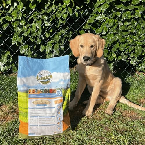 Bellfor Landgut-Schmaus Junior – Getreidefreies Trockenfutter für Welpen – 7,5 kg – Mit Insektenprotein, Hypoallergen & Besonders Verträglich für Junghunde