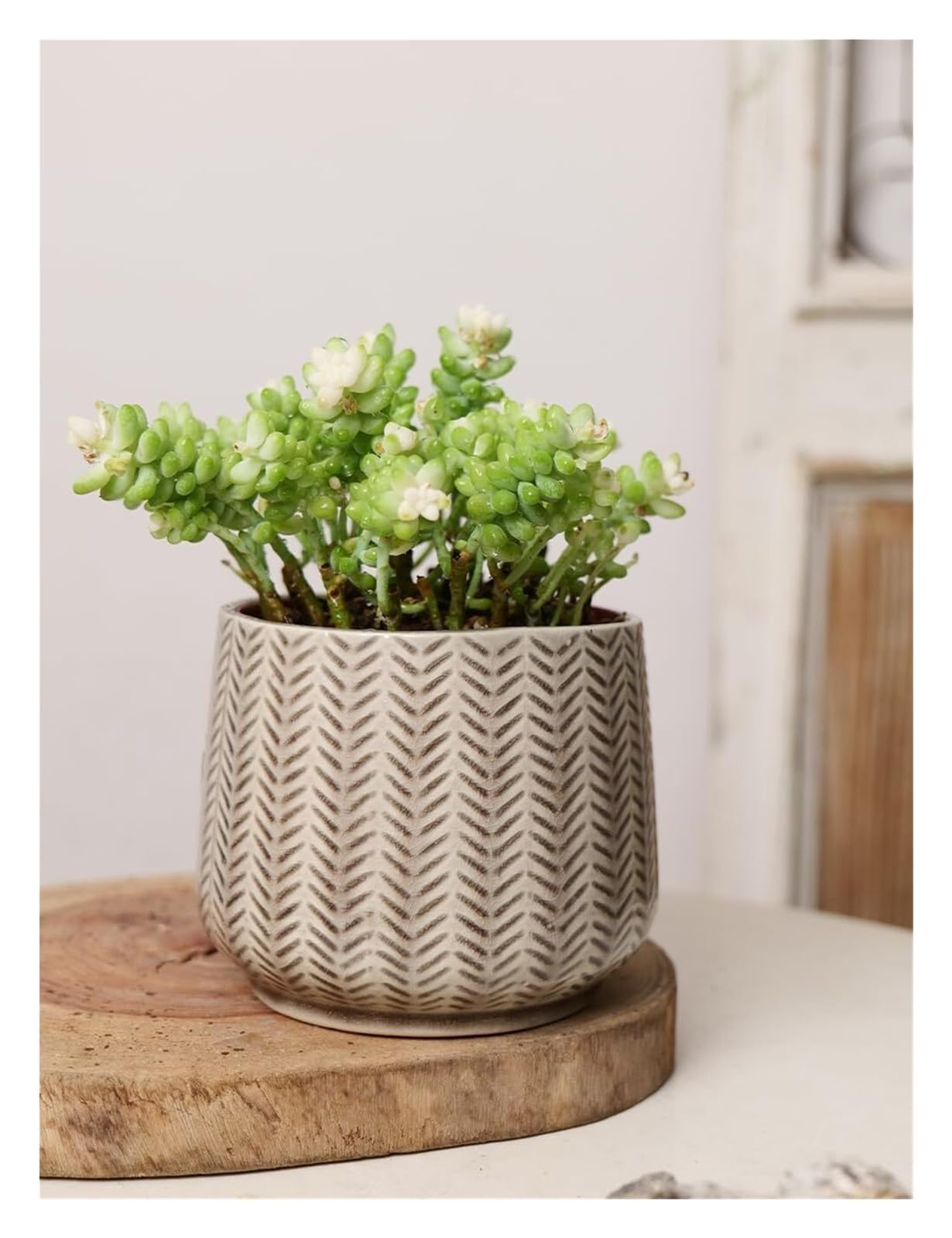 Doniczki, doniczki ceramiczne, nowoczesne donice, małe doniczki do użytku wewnątrz i na zewnątrz, donice dekoracyjne gardenix
