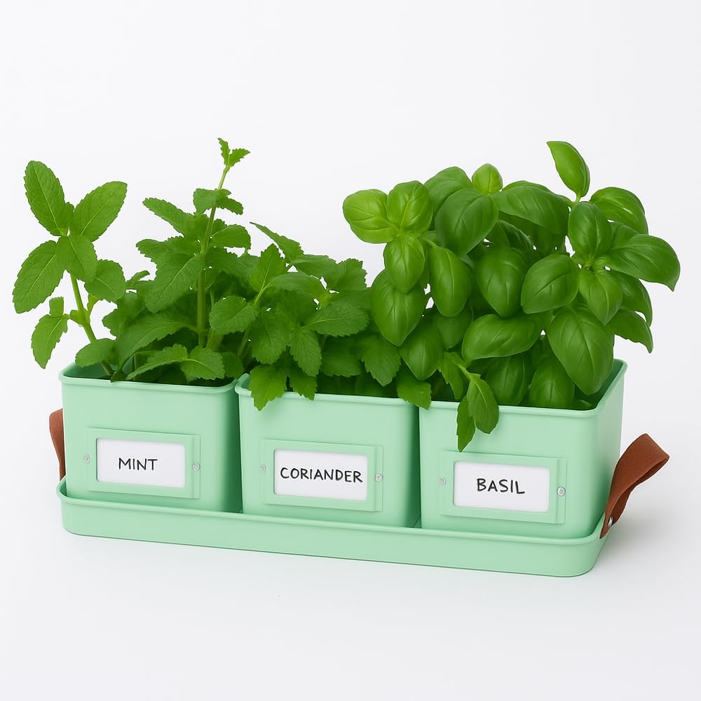 B&Q -  Mint Green Pots & Tray Only