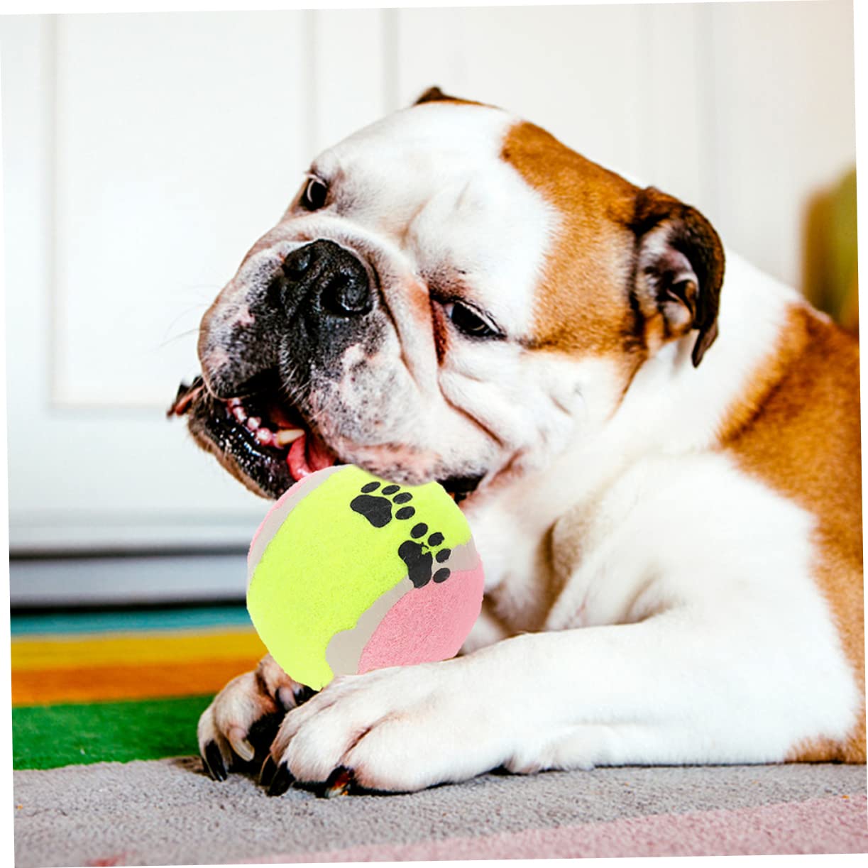 HEMOTON 16piezas Juguete De Pelota De Tenis para Mascotas Balones Interactivas De Goma para Perros Juguetes De Entrenamiento para Perros Balones para Pequeños para Exterior El Parque
