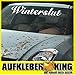 Hochwertiger "WINTERSLUT Aufkleber ca. 80 x 11 cm Auto Frontscheibe oder Heckscheibe Lack Motorhaube Sticker Autoaufkleber Motorsport Hoonigan Sticker Winter Wintergerät