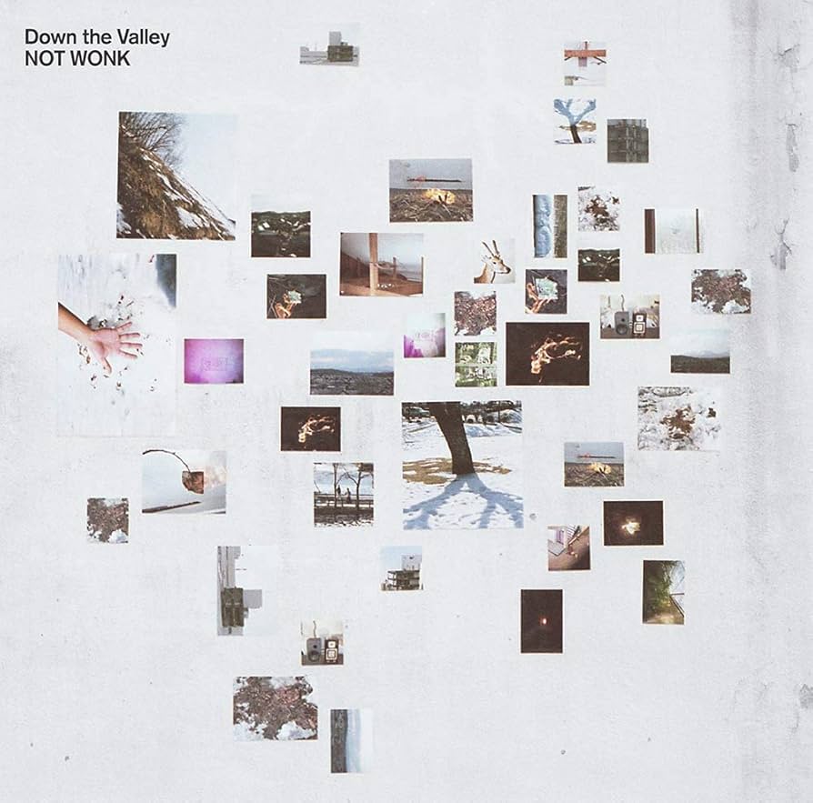 NOT WONK Down the Valley レコード Amazon.co.jp: Down the Valley: ミュージック