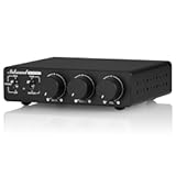Douk Audio NS-13G MAX 300Wx2 Stereo Amplifier with Phono Input - HiFi Class D Mini Power Amp for Home Theater&comma; Turntables&comma; Studio Monitor &vert; TPA3255 Chip&comma; RCA&sol;MM Inputs&comma; Bass&sol;Treble Control &lpar;DC 48V&rpar;