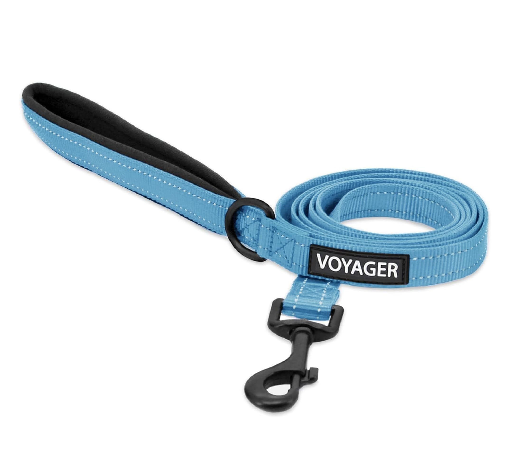 Best Pet Supplies Voyager Nylon Dog Leash - Sky Blue, Medium