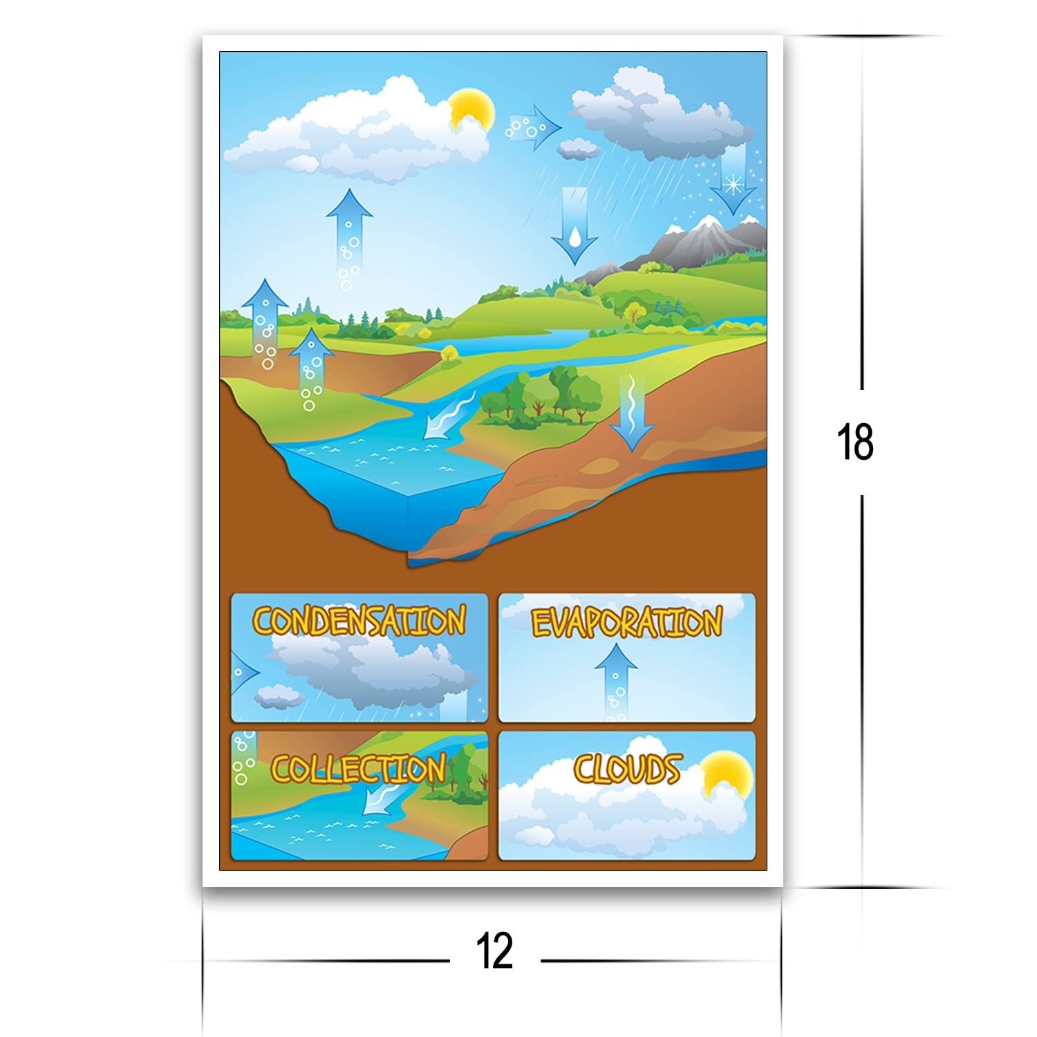 Artist Unknown The Water Cycle - Science Classroom Decorations - 12-Inch by 18-Inch - Science Supplies for Classrooms - for High School, Middle School, Elementary CPS052 - Image 2