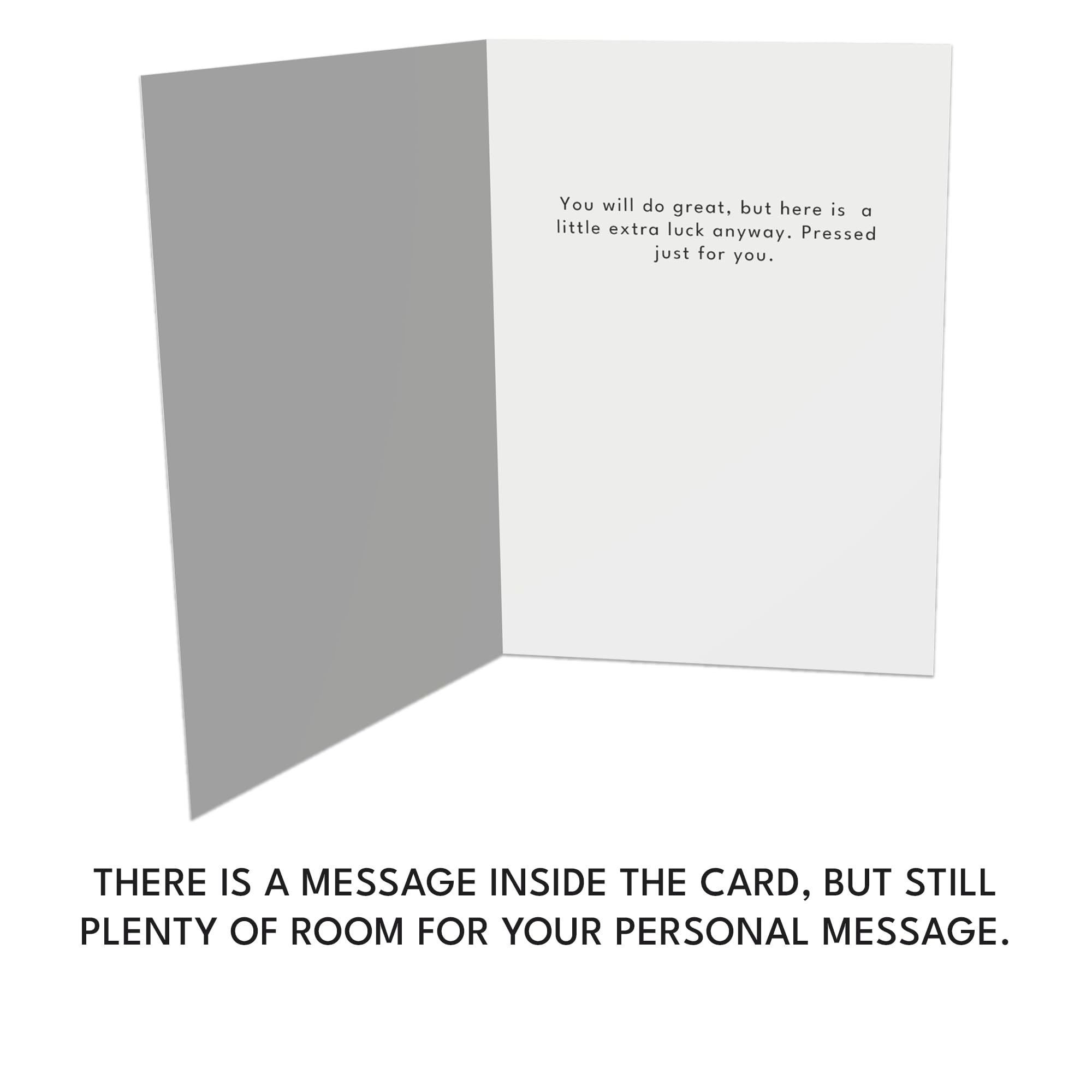 View 4