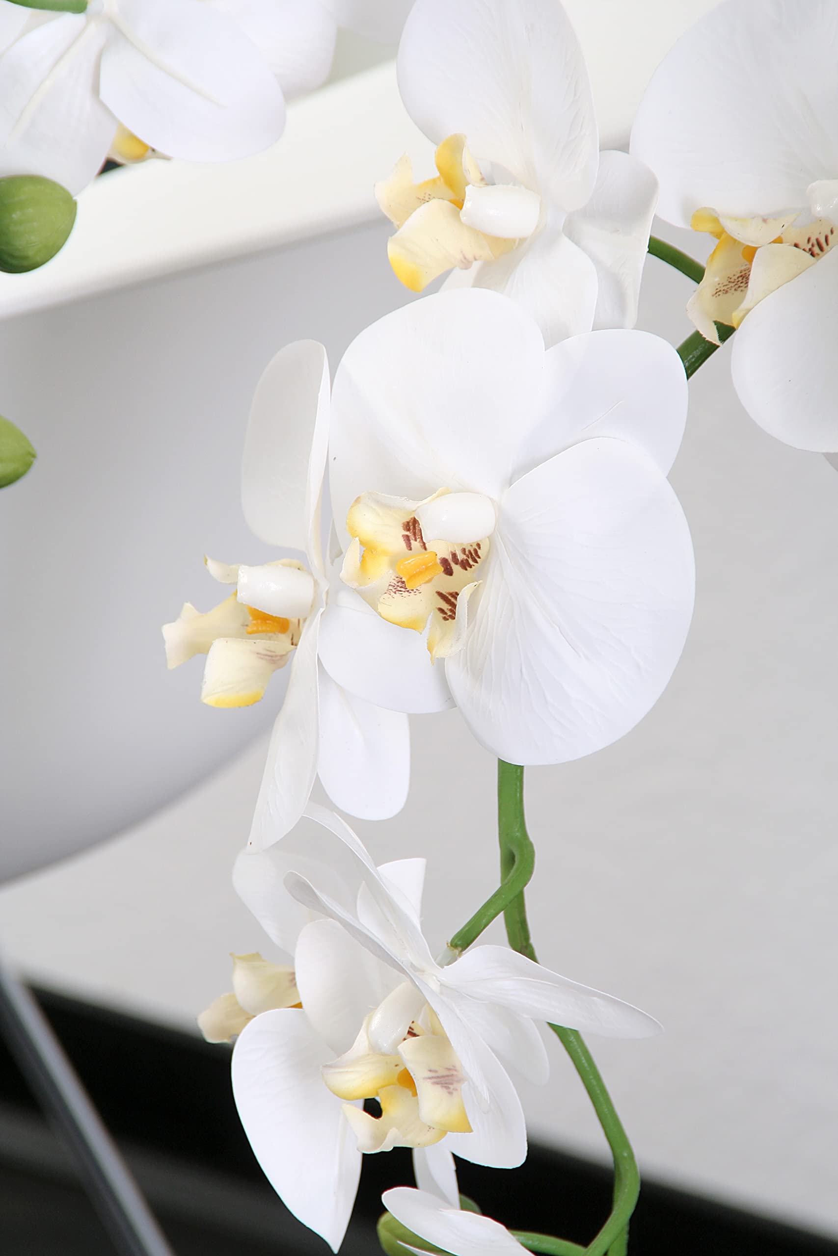Amazon.de: Wackadoo XXL Orchidee 110 cm real Touch Blten, Kunstblumen wie  echt, Orchideen knstlich, knstliche Orchideen