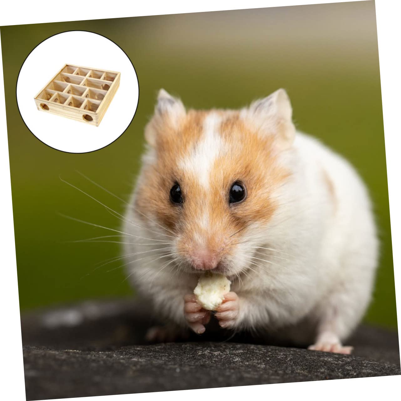 Milisten Holz Hamster Labyrinth Spielzeug mit Mehrkammern Sicheres Nagerlabyrinth für Kleine Hamster Ratten und Chinchillas Aktives Haustierspielzeug Nachhaltiges Holzspielzeug