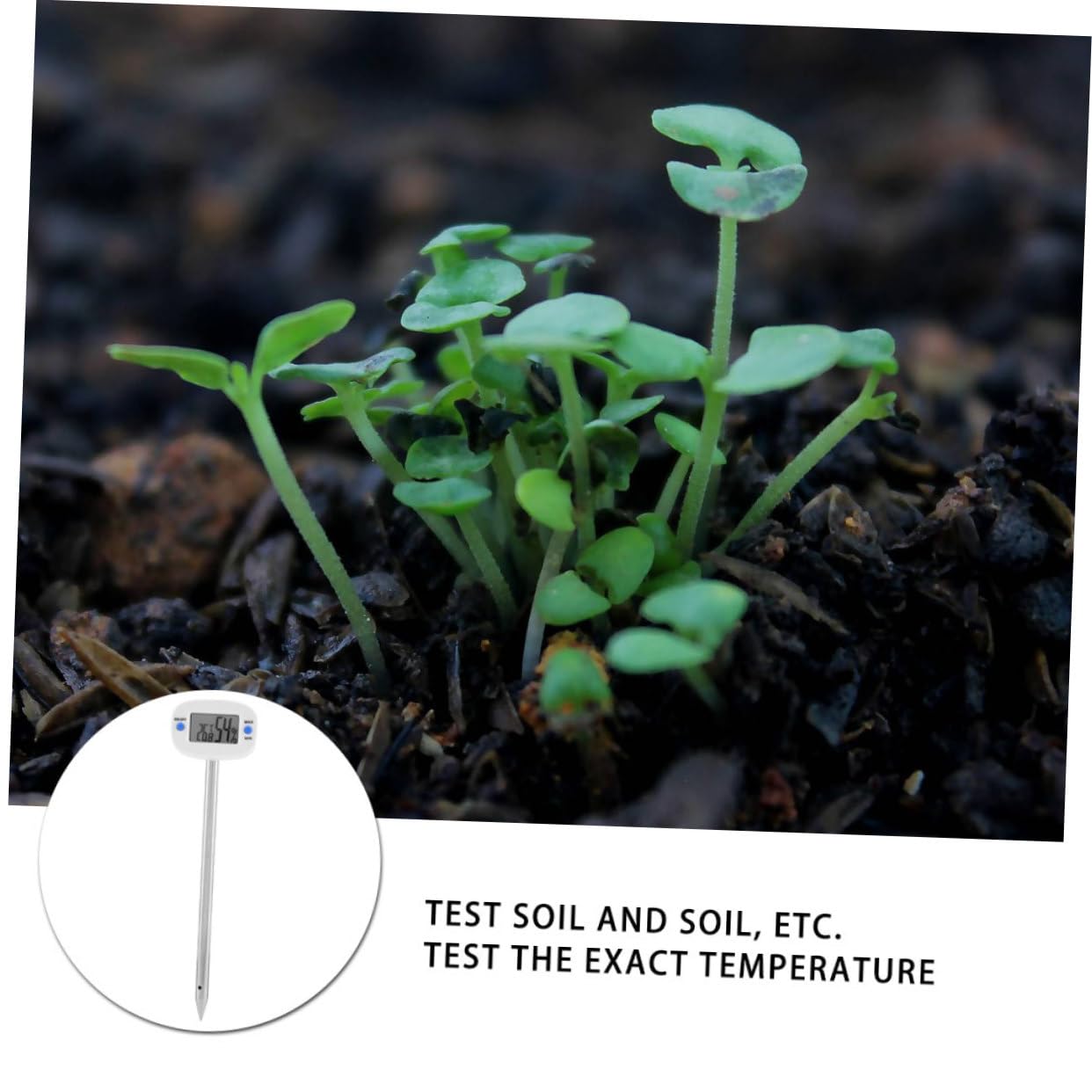 Kisangel 3 Pezzi Tester Temperatura e Umidità Del Mini Ago Misuratore Umidità e Temperatura per Giardinaggio e Coltivazione Strumento per Giardinieri e Appassionati