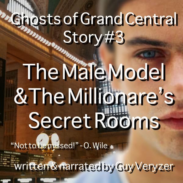 Cover art for The Male Model & The Millionaire's Secret Rooms