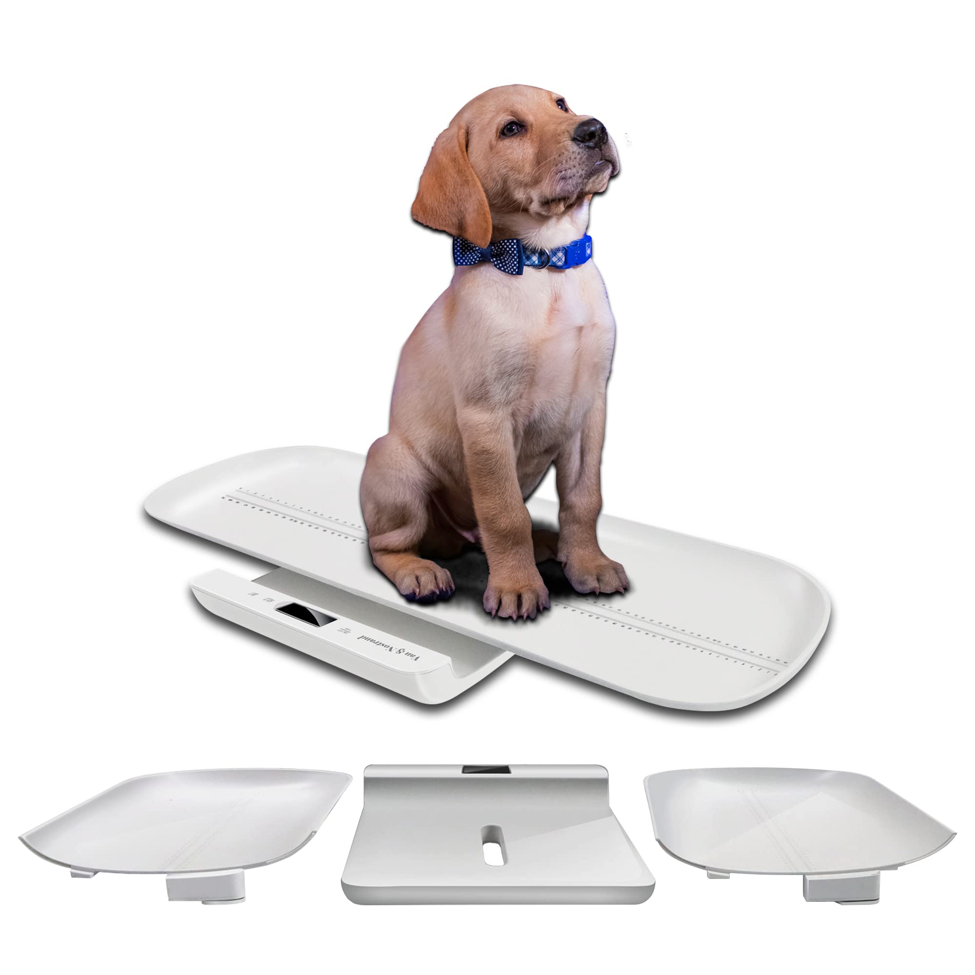 Buy Digital Portable Small Pet Scale Dog Scale, Infant Scale with Hold