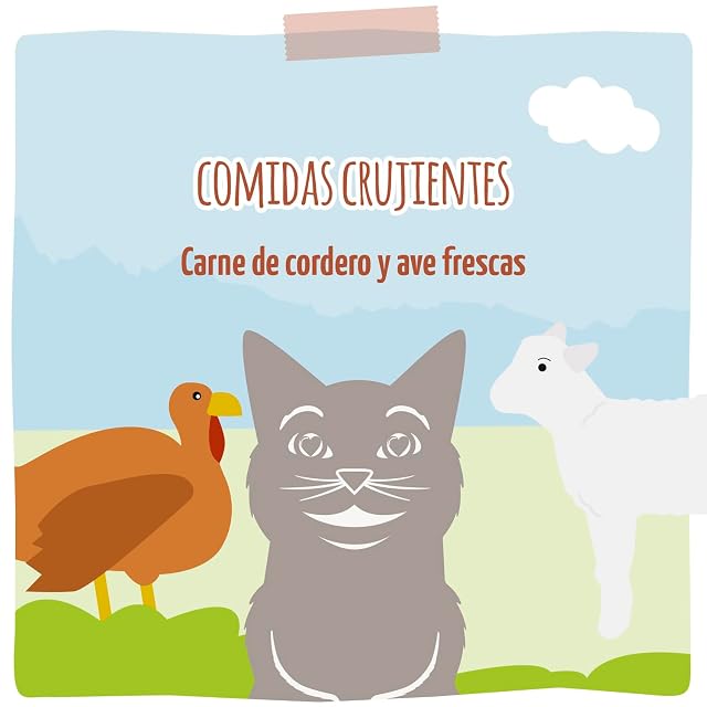 Foto 5 de 6 de MjAMjAM - Pienso seco Premium para Gatos - Comidas crujientes