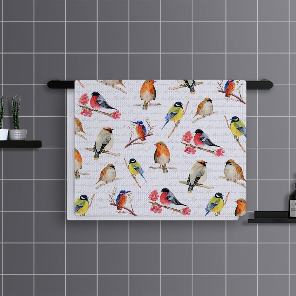 Trapos Cocina Pájaro Naranja Y Rojo Paños de Cocina Suaves y Absorbentes Paños Cocina Reutilizables Trapos de Cocina para Secar Toallas Lavable Toallas de Barra Juego de 4 (40x60cm)